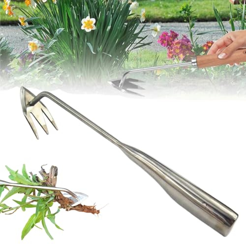 Générique Désherbeur Manuel en Acier Inoxydable Arrache Mauvaise Herbe, Rateau de Désherbage Jardinage Outil de Désherbage Manuels pour Creuser Désherber Ameublir