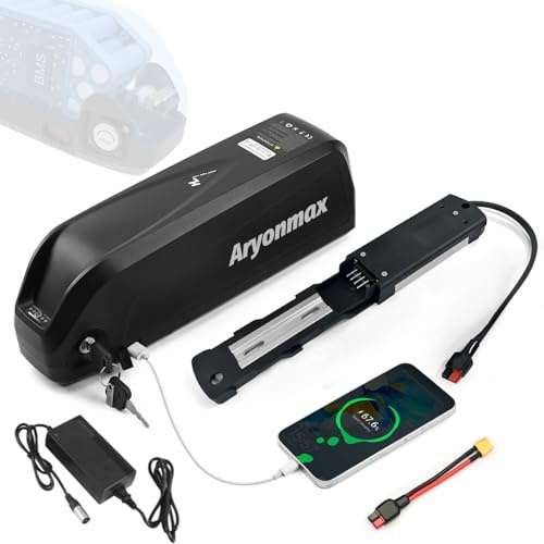 36V 48V Ebike Batteria 25Ah 20Ah 13Ah (Celle di Grado A), Hailong Batteria per Bici Elettrica Lungo Raggio con Caricabatterie Base 4Pin/5Pin per 1500W-200W Motore (48V 20Ah 4-Pin per 0-1500W)