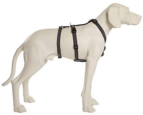 Feltmann NoExit Hundegeschirr® - ausbruchssicher, Panikgeschirr, Silber Muster, Bauchumfang 75-100 cm, 25 mm Bandbreite