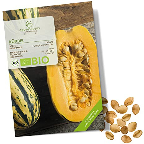 BIO Kürbis Samen (Delicata, 6 Korn) - Kürbis Saatgut aus biologischem Anbau ideal für die Anzucht im Garten, Balkon oder Terrasse
