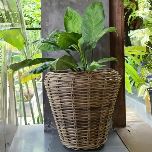 LEBENSwohnART Natur Rattan Pflanzkorb AMRUM Kubu Grey ca.H30cm Pflanztopf Übertopf Korb Aufbewahrungskorb