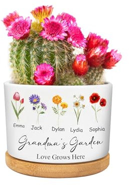 Pekdi Maceta Personalizada con Flores de Nacimiento, macetas suculentas para el jardín de la Abuela, Maceta de cerámica para el jardín de la mamá con Flores del Mes de Nacimiento Regalos de la Abuela