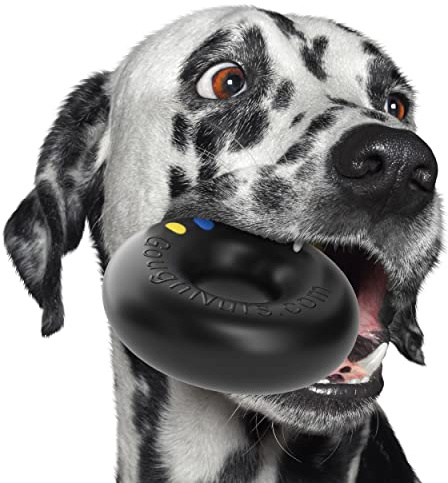 Goughnuts - Hunde-Kauspielzeug, praktisch unzerstörbar - Das Hundespielzeug für Power-Kauer hält selbst hartnäckigen Hunden Stand