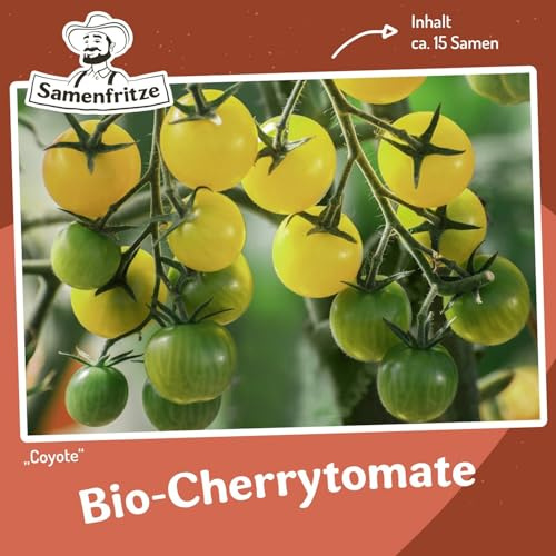 Coyote Bio-Tomatensamen