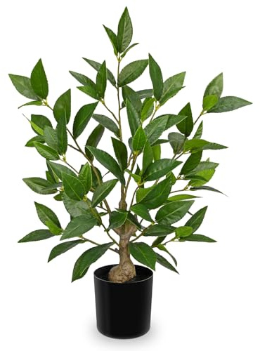 Arborus Künstliche Grünpflanzen 50 cm Künstlicher Lorbeer Pflanzen | Kunstpflanzen im Topf Lorbeerbaum Künstlich im Schwarzen Topf Dekopflanzen Tisch Regal Fensterbank Deko im Wohnzimmer