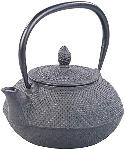 Rosenstein & Söhne Teekannen Guss: Asiatische Teekanne aus Gusseisen mit Edelstahl-Sieb, 0,9 l, schwarz (Gusseisen-Teekanne 0,9 Liter, China, Eier)