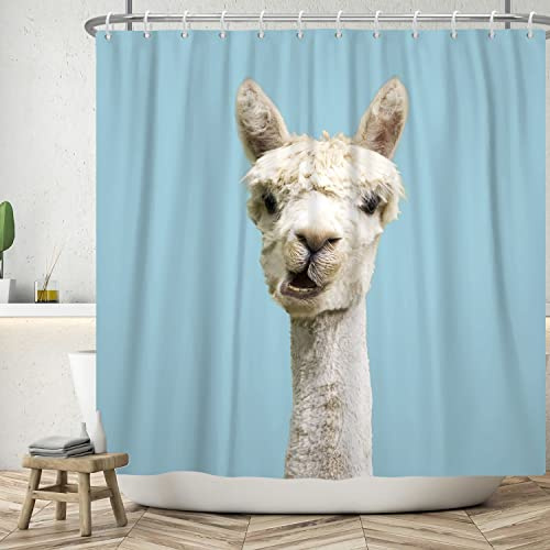 ASDCXZ Duschvorhang Lustig 180x200 cm, Einfachheit Lustig Alpaka Gesicht Türkis Waschbar Textil Badezimmer Vorhänge Polyester Stoff Wasserdicht Duschvorhänge für Badewanne mit 12 Duschvorhang Hake