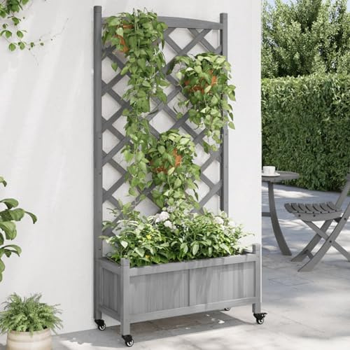 Iiaky Pflanzkübel mit Rankgitter PflanzküBel Mit Rankgitter Spalier Rankgitter Blumenkasten Mit Rankgitter und Rollen Grau Massivholz Tanne - 3207651