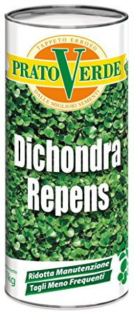 Ferri Sementi SEME PRATO DI DICHONDRA X 0.500 GR