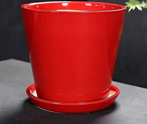 Fioriera succulenta Vaso da fiori in ceramica Vaso da fiori Vaso da fiori pigro Semplicità luminosa Pianta traspirante Stile Vaso da fiori Fascia separata per cactus succulenti (dimensioni : 21 cm) (