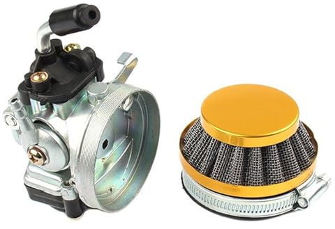 Collettore Carburatore Carburatore Da Corsa Per Gas Motore A 2 Tempi 49cc 60cc 80cc Con Bicicletta Motorizzata Filtro Dell'aria(Gold)