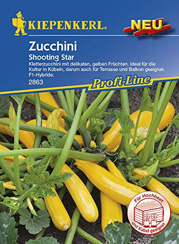 Zucchinisamen - Zucchini Shooting Star von Kiepenkerl