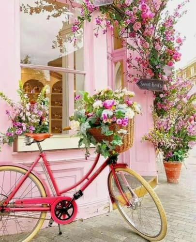 Weltbild Diamond Painting Bicicletta 40x50 cm