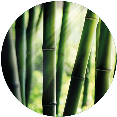 Wallario Glasbild rund Bambuswald und Sonnenstrahlen - Rund, 50 cm Durchmesser Wandbild Glas in Premium-Qualität: Brillante Farben, freischwebende Optik