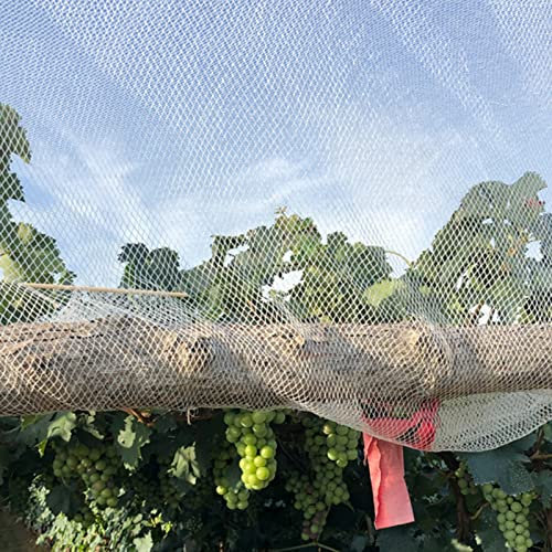 Grillage Jardin Filet à Poule à Oiseaux Filet De Vigne, Filet En Nylon De Jardin Blanc Pliable Résistant, Filet Anti-oiseaux Extra Large Pour Buissons De Myrtilles/arbres Fruitiers/bâtiments
