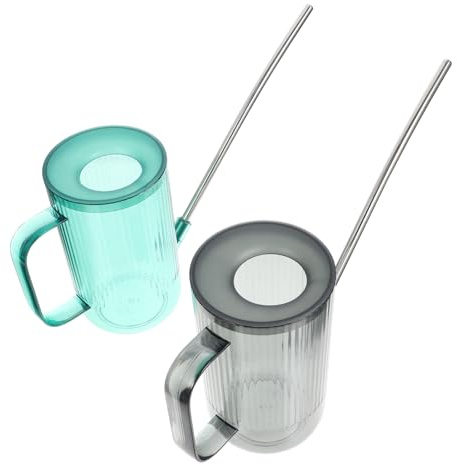 Yardwe Lot De 2 Arrosoirs pour Plantes Dintérieur en Acier Inoxydable