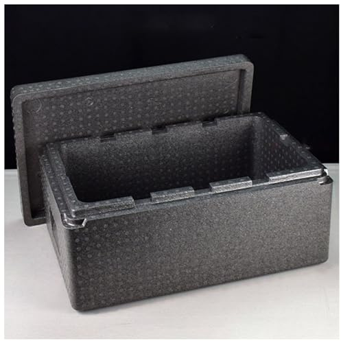 Scatola in polistirolo grande, Cool Box, Contenitore Termico, Frigo Portatile, Thermobox, Scatola Termica per il Trasporto di Alimenti, Freddo Per Picnic Auto Spiaggia Viaggio Pasti All Aperto