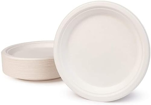 DPdantepellacani 100/500 /1000 Piatti Piani Tondi diametro 23 cm Piatto carta bianco bagassa biodegradabile rigido monouso in fibra vegetale feste compleanni picnic eventi sagre (100)