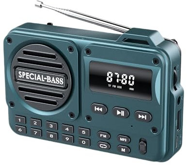 Pocket Radio FM USB-C Charging 2000mAh Rechargeable Excellent Reception Clear Speaker and Headphone Jack,LCD Screen,FM Radio for Walk/Jogging/Gym, Bluetooth/TF.(NO AM) (Turquoise)