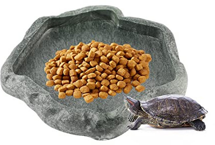 Wasserspender für Reptilien, Futternapf für Schildkröten, für Reptilien, Futter und Wasser, für Eidechse, Gecko, Barbu Drache, Chamäleon, Grün S