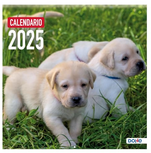 Dohe - Wandkalender 2024 - Heftklammerbindung - Größe 30 x 30 cm - mit Perforation zum Aufhängen und Planen 2024 - Model Dogs