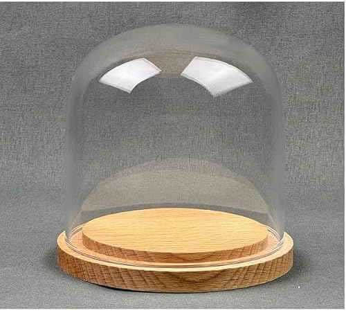 EMH Kleine Glasglocke aus natürlichem Holz, 10 x 10 cm