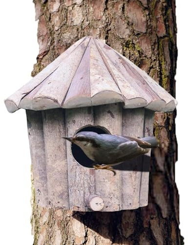 Kolibri-Häuser – mit Dach, dekorativer Unterschlupf aus Holz, Vogelhaus, Nistkasten, Gartendekoration, für Außenbereich, Hof, Garten, Winter, Fenster, Baum, Zaunkönig, Finken, Sittich, Frauenliebhaber