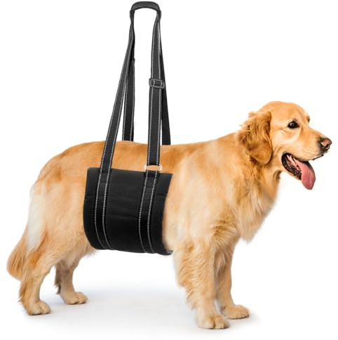 Comfpet Hundegeschirr Hunde Tragehilfe für Auf und Abtreppen, Hundeschlinge, Verstellbares Hundetragegurt für Hinterbeine, Hundehilfe und Bänderrehabilitation, M