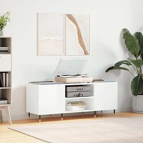 prissent Mehrschichtiges CD-Regal für CDs, CD-Regal, Holz, Bücherregal, Schallplatten, Vinyl, schmales Regal für Wohnzimmer, weiß, glänzend, 121 x 38 x 48 cm