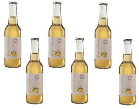 6 bottiglie Infuso di Te Ginger Lemon ml 230