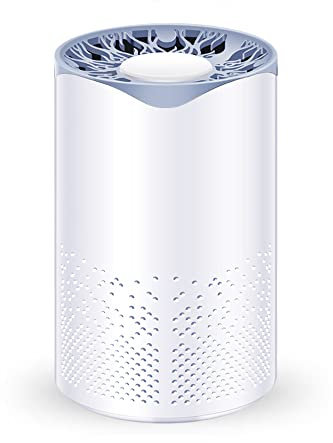 Mini Air Purifiers for 20 Square Meter Room, USB Home air Cleaner for Removing Smoke Pet Dander Odor Dust Use at Office Desktop Bedroom