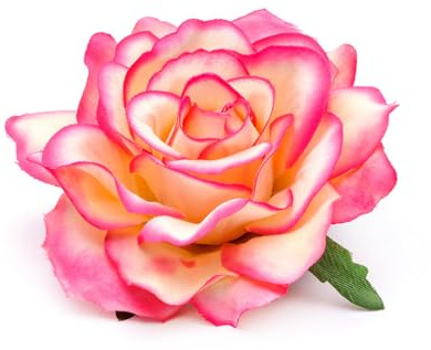 Wisafory 10 Stück Künstliche Blumenköpfe Rosen Blütenköpfe RosenKöpfe Kunst Blumen Rosen Köpfe Kunstblumen Rosen Seidenblumen Dekoration für Hochzeit Party DIY Basteln 11 cm Rosa-beige | Realistische Rosenoptik, pflegefreie Seidenblumen, ideal für Hochzeit, Tischdeko, Kränze, Geschenkgestaltung und Basteln