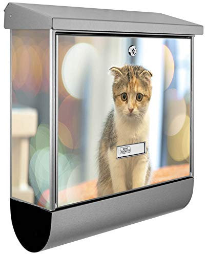 banjado® Burgwächter Briefkasten Edelstahl 38x39x12cm mit Motiv Kleine Katze/Briefkasten Edelstahl ohne Zeitungsfach/Briefkasten grau/Postkasten inkl. Montagematerial & 2 Schlüsseln