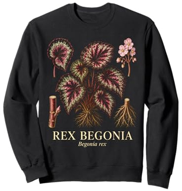 Rex Begonia Begonia Rex Colorful Houseplant Plant Study Sweatshirt