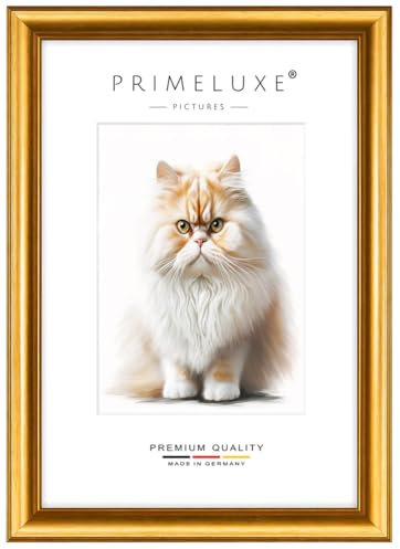 PrimeLuxe Barock Bilderrahmen nach Maß 30 x 90 cm in Gold | Größe wählbar | mit entspiegeltem Acrylglas | Rahmen für Poster | Puzzle | Foto collage