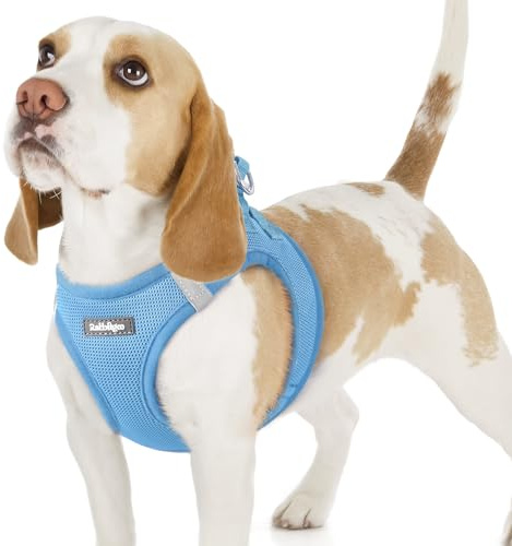 rabbitgoo Harnais Chien Petite Taille Bleu Clair M, Harnais Chiot Respirante en Maille Souple, Arnet pour Chien Réfléchissant Facile à Mettre, Gilet Réglable pour Petits et Moyens Chiens pour Marche