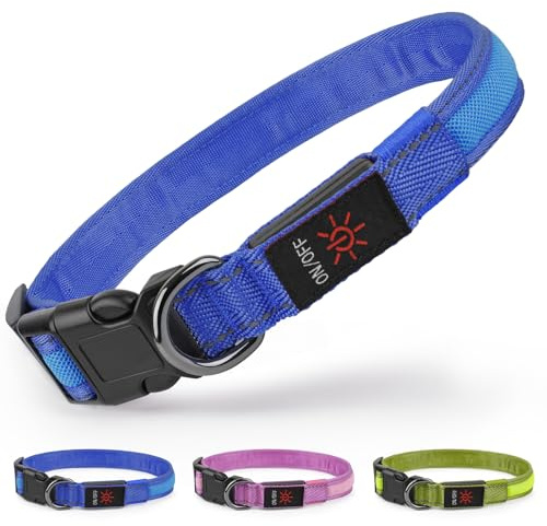 Ezierfy Leuchthalsband Hund - LED Hundehalsband Aufladbar Leuchtendes Hundehalsban Wasserdichtes Einstellbare Hunde Halsband für Kleine Mittlere Große Hunde (Blau, Mittel)