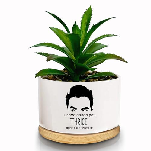 FZTUON Thank You for Helping Me Grow Succulent Planter Pots with Bamboo Tray, Indoor Planter for Women, Men, Friends, Coworker,Housewarming Gift - Not Include Plant (Asked You Thrice Now for Water)