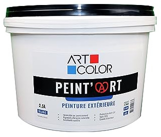 Peint'Art - Peinture extérieure | Blanche - 3L