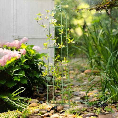 Garden Tower - Traliccio a obelisco, robusto supporto per piante rampicanti, verdura, frutta e fiori, cornice decorativa da parete e gabbia per pomodori (verde, 105 cm x 21,5 cm)