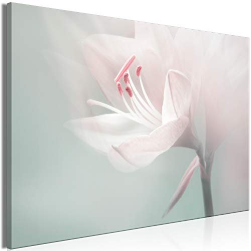 B&D XXL - Wandbilder XXL weiße Lilie 120x80 cm 1 tlg - Wand Deko Vlies Leinwand Bilder Groß Wanddeko Wohnzimmer Schlafzimmer Kunstdrucke - Blumen Natur Pflanze b-B-0572-b-a