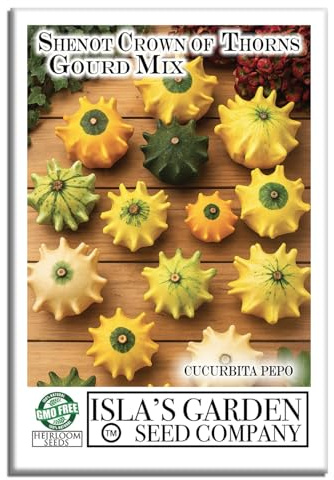 Crown of Thorns Shenot Gourd Seeds (Cucurbita Pepo) – 30+ Heirloom Non-GMO Seeds by Isla’s Garden Seeds, Unique Ornamental Variety, Vibrant & Decorative, Perfect for Fall Displays & Crafts