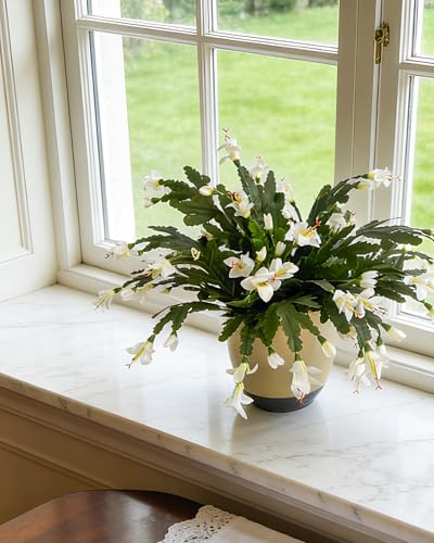 Leflos Schlumbergera truncata Artificial de 30 cm, Cactus de Navidad, 2 Unidades Blancas