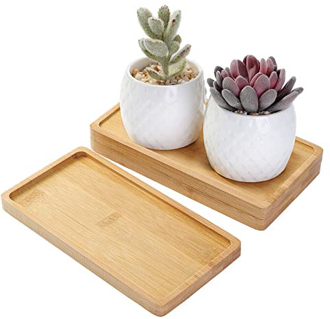 TsunNee Bambus-Tablett, rechteckig, Untersetzer für Blumenpflanzen, Sukkulenten, Serviertablett, Tassen-Untersetzer, Papierhalter, 6 Stück