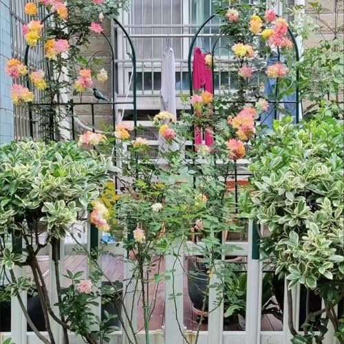 Enrejado de jardín de metal independiente, 200 x 50 cm, soporte para plantas para flores trepadoras, rosas, vides, hiedra y clemátides, decoración al aire libre y marco de plantas