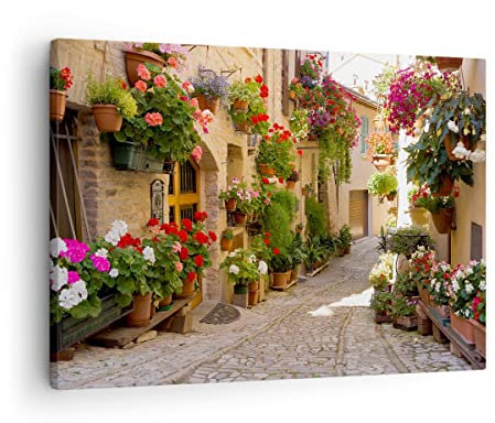 Bilder auf Leinwand Blume Straße Haus Leinwandbild mit Rahmen 70x50cm Wandbilder Dekoration Wohnzimmer Schlafzimmer Küche Deko Klein Wanddeko Bild Wand Kunstdruck Art Wall Decor Canvas AA70x50-3586