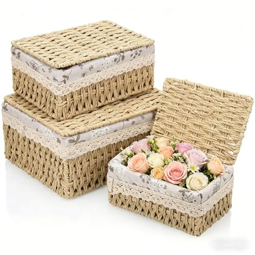 GYHWOFUL Set di 3 cestini portaoggetti con coperchio, cestino intrecciato in corda di carta con telaio in metallo e fodera, 3 misure di cestino, contenitore con coperchio per bagno, fasciatoio