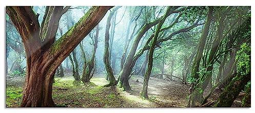 Pixxprint Glasbild Panorama, Wandbild aus Echtglas, Wald, 120x50 cm, inkl. Aufhängung und Abstandshalter