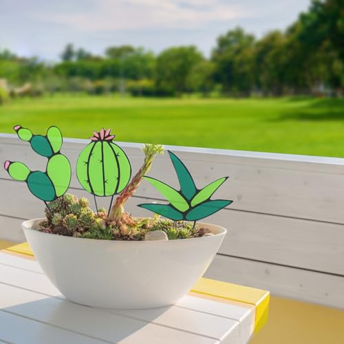 GLOBLELAND 3 Stück 3 Stile Glaspflanze Dekor Kaktus Agave Aloe Acryl Sukkulente Dekor Künstlicher Kaktus Für Hausgarten Outdoor Indoor Dekoration Ornament
