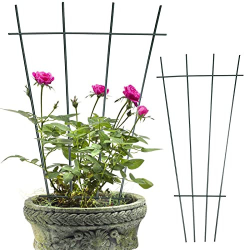 ZXCFTG 2 enrejados de hierro para plantas en maceta, enrejado apilable de 15.7 pulgadas, mini enrejado de escalada, soporte de metal para plantas en maceta, flores, vid, guisantes, hiedra, negro